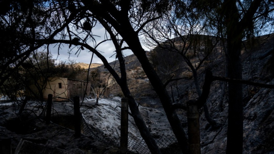 Bilanz von Waldbrand in Andalusien: Zw&ouml;lf der 13 Todesopfer stammten aus dem Ausland