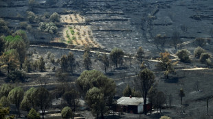 Miles de evacuados por los incendios en Espa&ntilde;a vuelven a sus casas