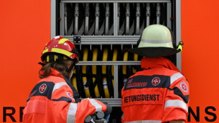 Kinder verursachen in Baden-Württemberg Scheunenbrand mit hohem Sachschaden