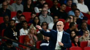 Spain success driven by hunger to improve, says De La Fuente