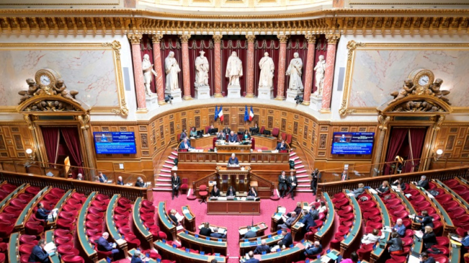 Mariage d'un &eacute;tranger en situation irr&eacute;guli&egrave;re: le S&eacute;nat vote l'interdiction malgr&eacute; les barri&egrave;res juridiques