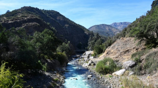 Chile's once-dirty Mapocho river enjoys new lease on life