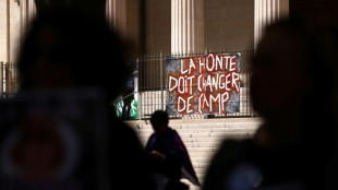Un hombre de Reino Unido se declara culpable de 32 delitos sexuales contra su pareja dormida o drogada