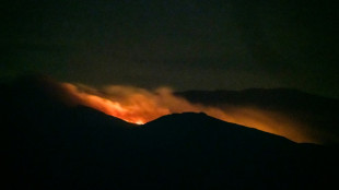 Firefighters extinguish Kenya forest blaze
