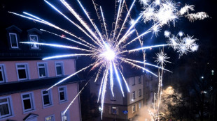 T&ouml;dlicher Brand durch Silvesterrakete: Zwei Verd&auml;chtige in Bayern ermittelt