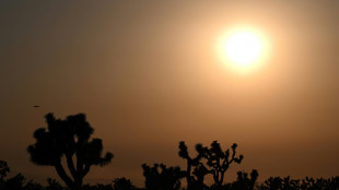 'Dangerous' heat wave hits southwestern US