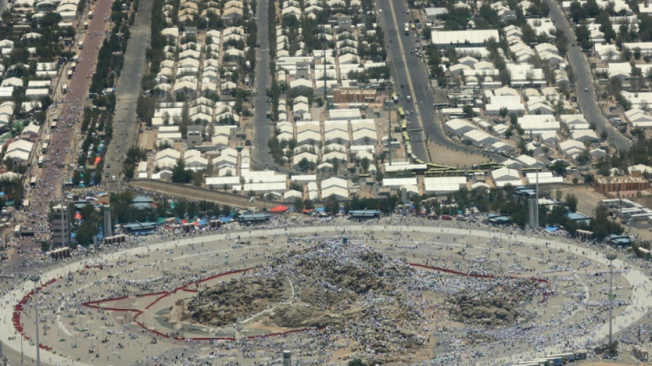 Les fid&egrave;les musulmans sur le mont Arafat, &eacute;tape phare du hajj 