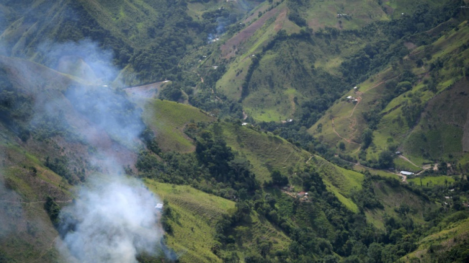 Colombia rompe r&eacute;cord hist&oacute;rico de narcocultivos: 204.000 hect&aacute;reas en 2021