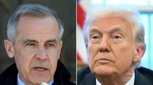 Kanadas Premier droht Trump mit Gegenz&ouml;llen ab dem 2. April