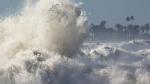 Surf's up: Big waves pound US West Coast