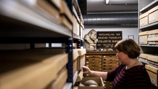 Scoperto un piccolo dinosauro che cinguettava come un uccello