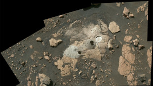 Mars rover sees hints of past life in latest rock samples