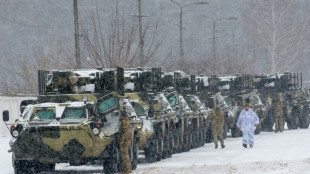 Russia, US set for new call amid burst of Ukraine diplomacy