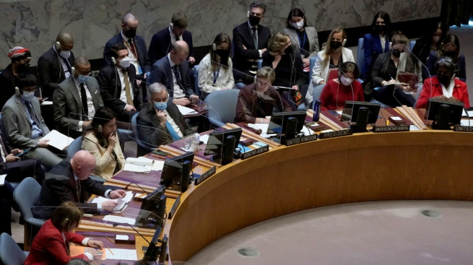 Zelenski insta al Consejo de Seguridad de la ONU a actuar "inmediatamente" en Ucrania