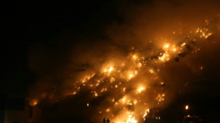 Garbage fire chokes Indian capital reeling from heatwave