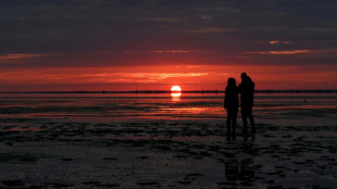 Bundesamt: Nord- und Ostsee in diesem Sommer "deutlich" zu warm