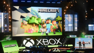 Students, activists, entertainers: Minecraft's global appeal