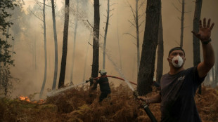 En Gironde, optimisme et vigilance face au m&eacute;gafeu "stabilis&eacute;"