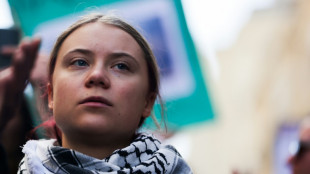 Youths having to grow up 'too quickly' amid climate fears: Thunberg
