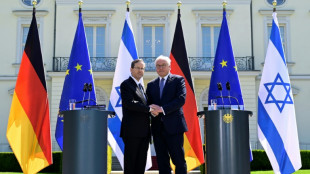 Steinmeier mahnt Israel zu Einhaltung völkerrechtlicher Regeln