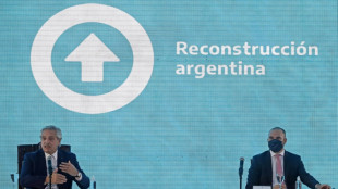 Argentine: le premier remboursement 2022 au FMI "d&eacute;pend" des n&eacute;gociations
