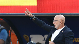 'Acompanhar estes jogadores &eacute; uma honra', diz Luis de la Fuente ap&oacute;s t&iacute;tulo da Espanha