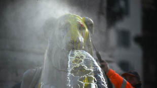 Activists spray paint on Rome fountain in circus animal protest