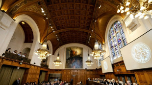 CIJ: le Nicaragua accuse l'Allemagne de "multiples violations" du droit international 