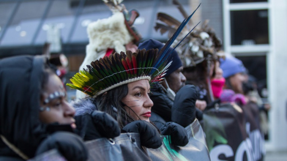 D&eacute;guis&eacute;s en arbre ou en oiseau, des manifestants dans la rue &agrave; Montr&eacute;al pour la biodiversit&eacute; 