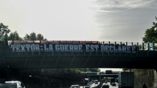 "Textor dehors!": col&egrave;re et d&eacute;pit des supporters de l'OL, rel&eacute;gu&eacute; en Ligue 2