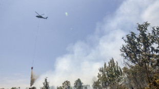 Indonesia accepts Malaysia's help to tackle wildfires