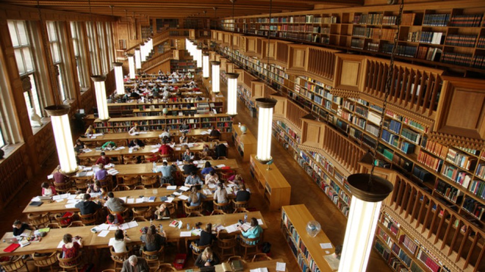 Karbon-X Corp. registra un crecimiento récord de ingresos y fortalece su posición financiera en el Q1 2026